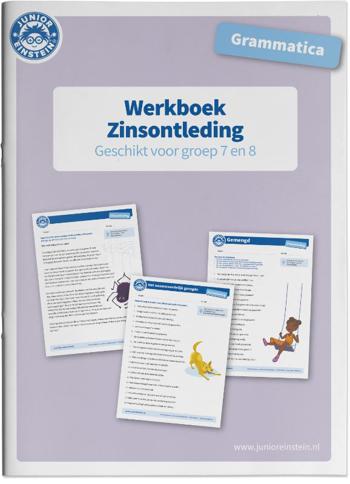 9789492265968 - Werkboek Grammatica Zinsontleding voor groep 7 en 8