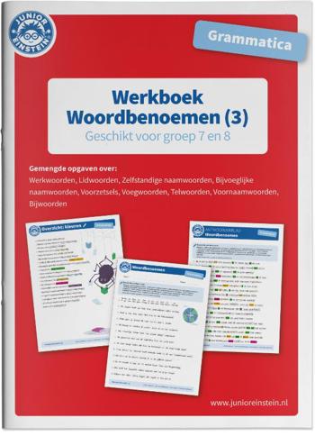 9789493128187 - Werkboek Woordbenoemen (3) voor groep 7 en 8