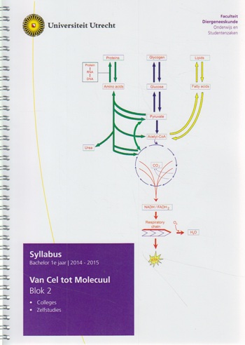9990002031137 - Syllabus van Cel tot Molecuul