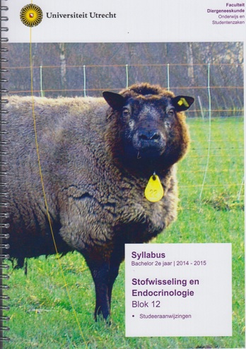 9990002032578 - Syllabus Stofwisseling en Endocrinologie