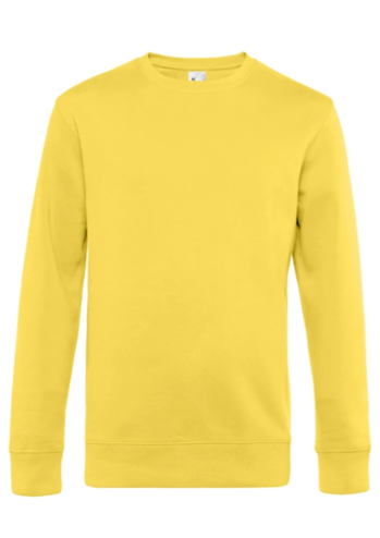 9990002087912 - KTA Zavelenberg sweater geel maat L