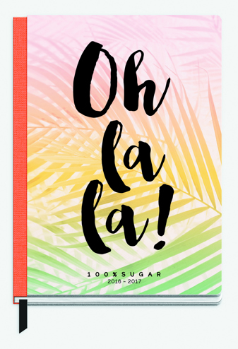 9990089766564 - Awesome girls schoolagenda 2016-2017 multicolour